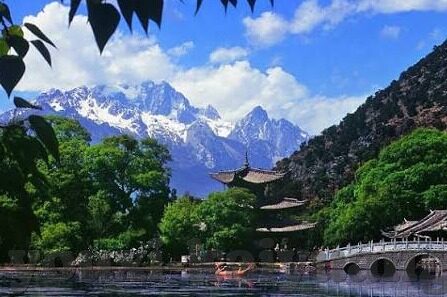 澳门新蒲京赌场网址-澳门新蒲京赌场网址，探索娱乐与风险之间的微妙平衡