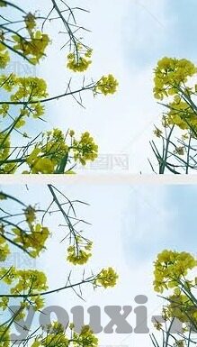足球每个比分都买-理性审视足球每个比分都买,一场高风险与低收益的博弈